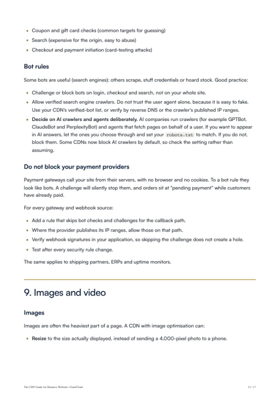 A page from the The CDN Guide for Business Websites