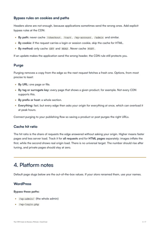 A page from the The CDN Guide for Business Websites