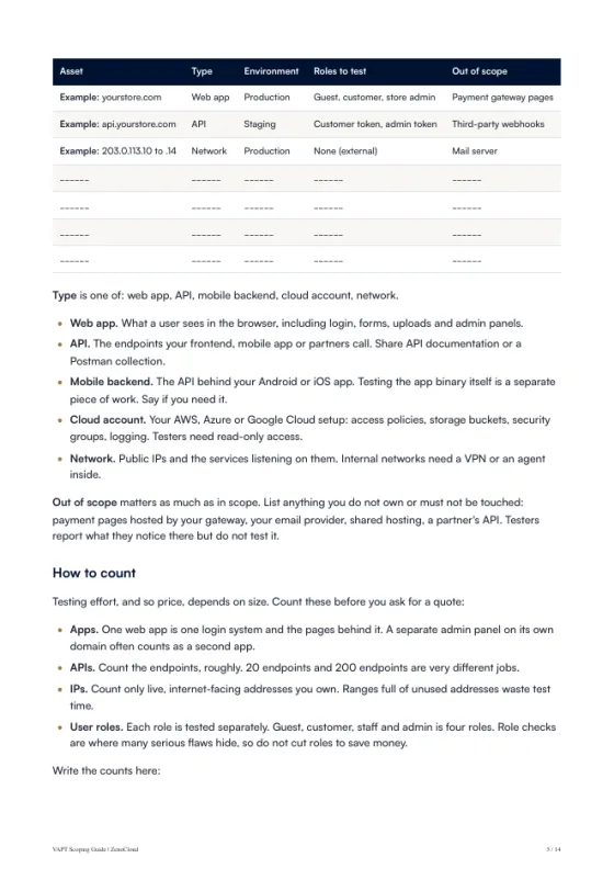 A page from the VAPT Scoping Guide