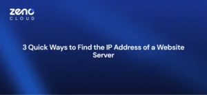 find IP address of website