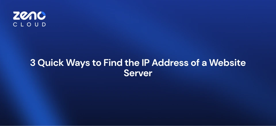 find IP address of website